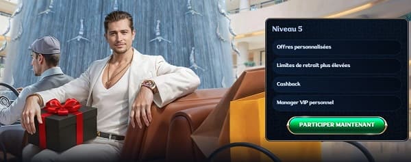 vip millioner