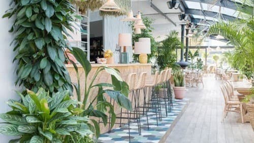 Polpo restaurant enfant