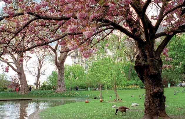 Le square des Batignolles dans le 17ème arrondissement